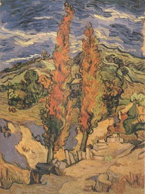Vincent Van Gogh Two Poplars on a Road through the Hills (nn04) China oil painting art
